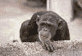 cid:365282EA473F46A4A6FD685ED6D372ED@charlesPC