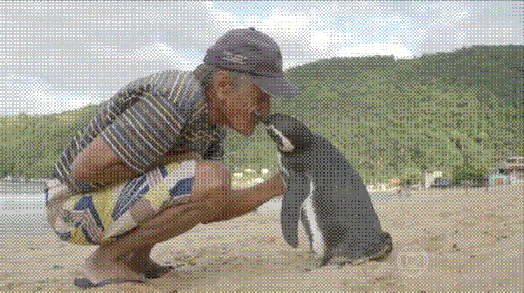 mime-attachment.gif