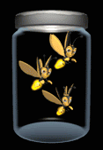 cid:26.2780882959@web160405.mail.bf1.yahoo.com