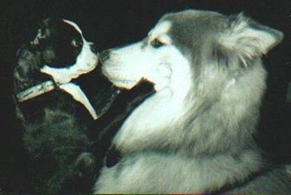 image016.jpg