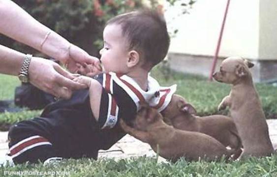image012.jpg