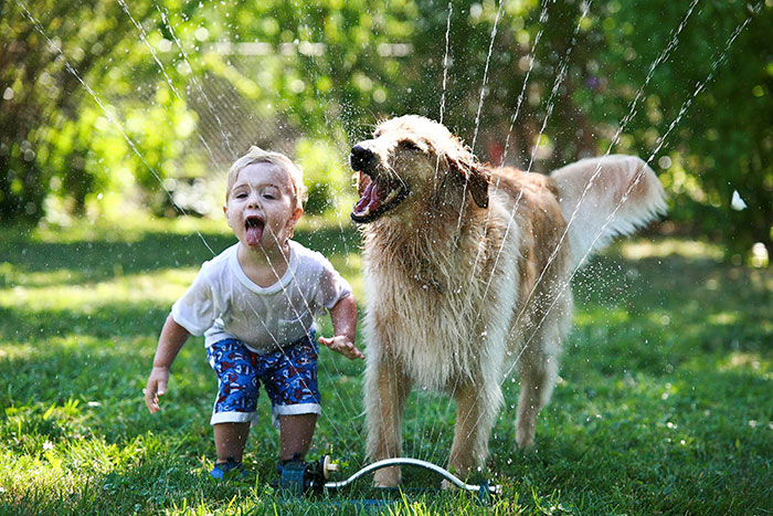 Description:                                                            kids and pets