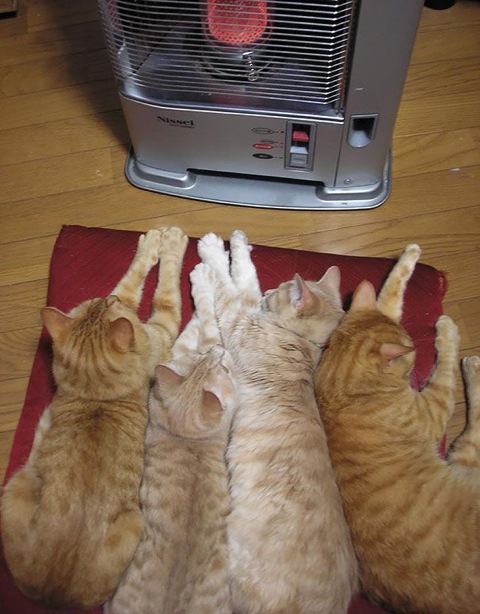 http://static.tinyletter.com/AZJunk/img/beam/3134529/6mime-attachment.jpg