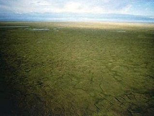 image009.jpg