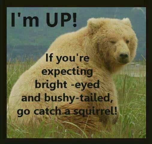 Image may                                        contain: text