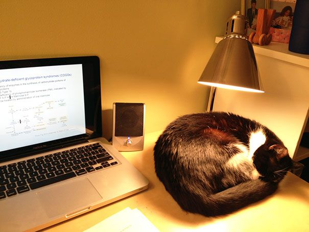 http://static.tinyletter.com/AZJunk/img/beam/3134529/3mime-attachment.jpg