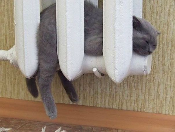 http://static.tinyletter.com/AZJunk/img/beam/3134529/5mime-attachment.jpg