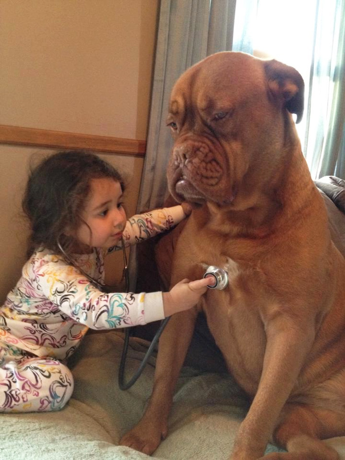 Description:                                                            kids and pets