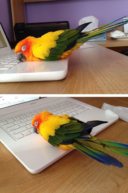 http://static.tinyletter.com/AZJunk/img/beam/3134529/9mime-attachment.jpg