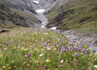 image005.jpg
