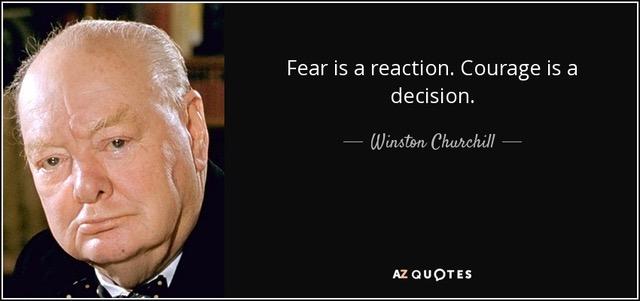 Fear is a
                                                          reaction.
                                                          Courage is a
                                                          decision. -
                                                          Winston
                                                          Churchill