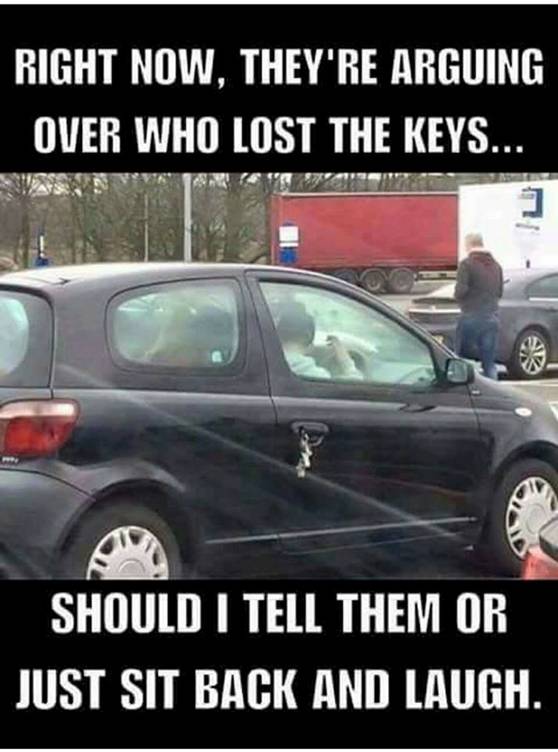Image may contain:
                                                          meme, car and
                                                          text