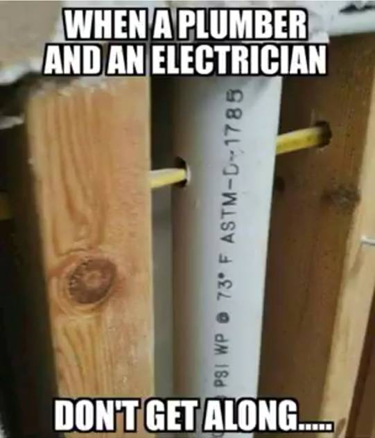 Image may contain:
                                                          meme and text