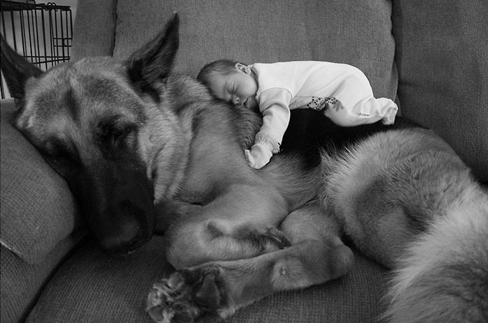 Description:                                                            kids and pets