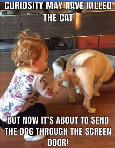 curiosity