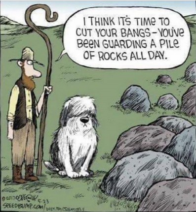 rocks